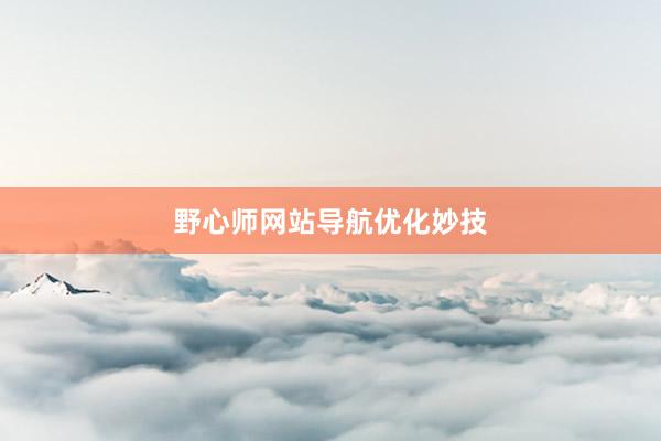 野心师网站导航优化妙技