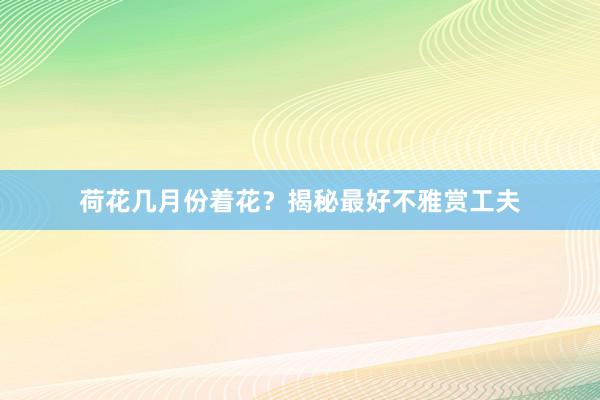 荷花几月份着花？揭秘最好不雅赏工夫
