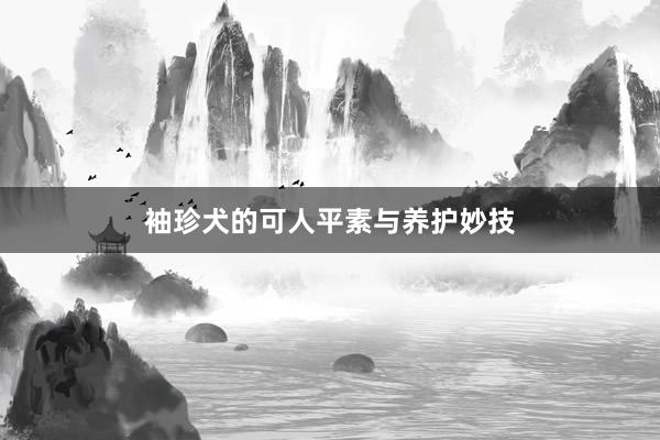 袖珍犬的可人平素与养护妙技