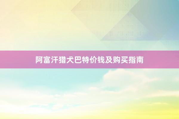 阿富汗猎犬巴特价钱及购买指南