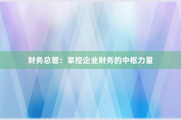 财务总管：掌控企业财务的中枢力量