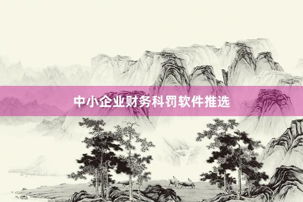 中小企业财务科罚软件推选