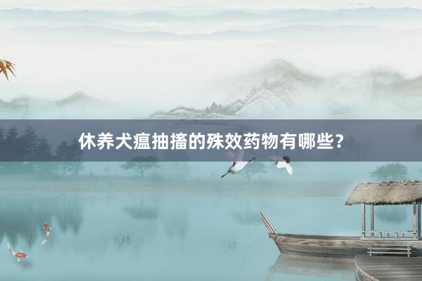休养犬瘟抽搐的殊效药物有哪些？